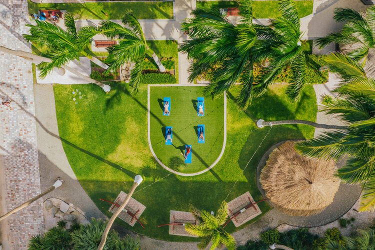 Aerial view of people doing yoga in the courtyard